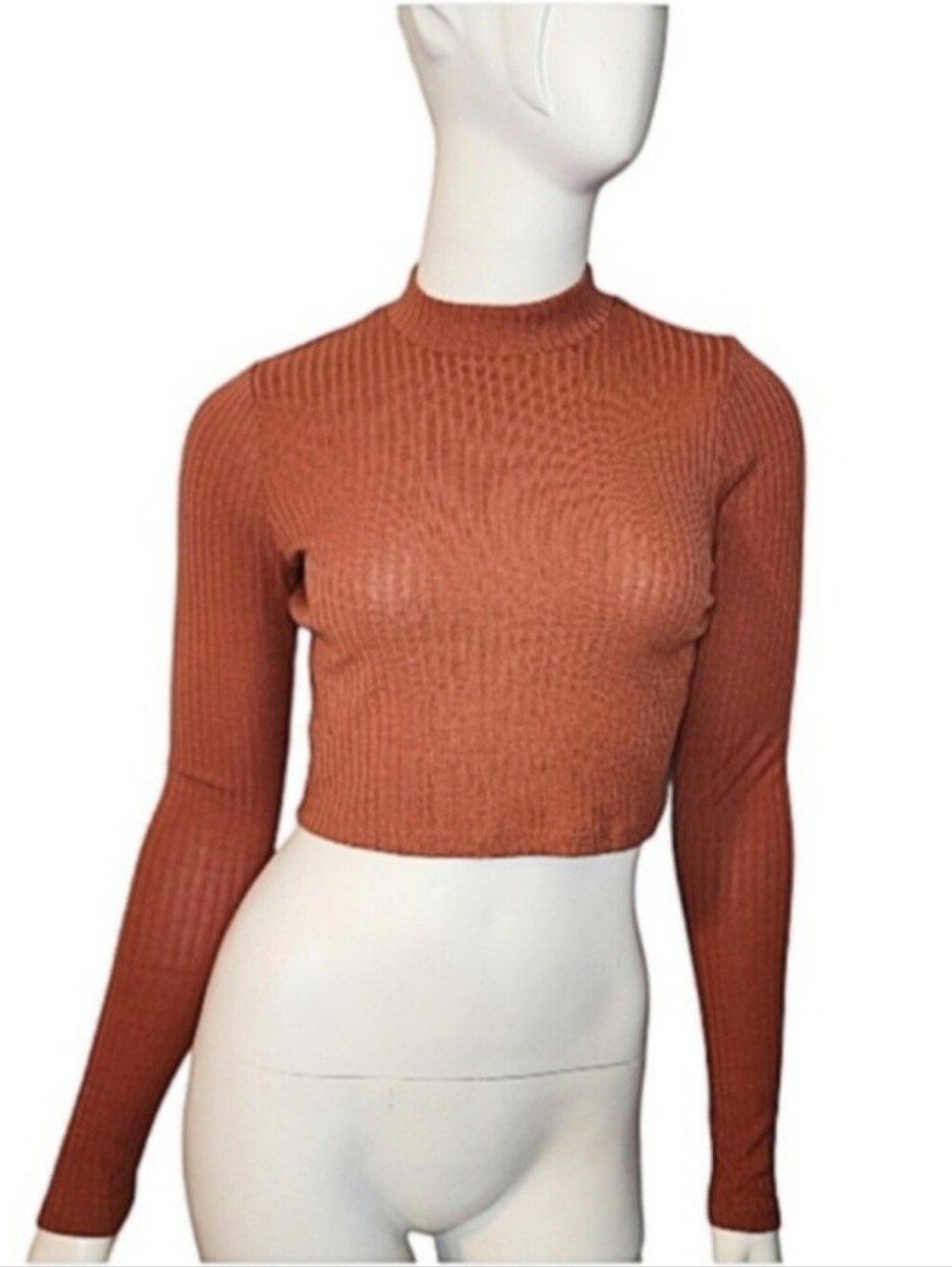 Forever 21 Ribbed Crop Long-Sleeve Top in Rust Size S